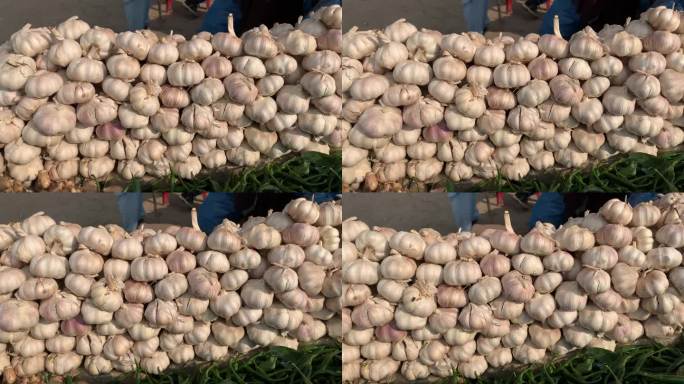 特写:当地农贸市场出售的整头大蒜。一束新鲜的白蒜。白色蒜头展示图。新鲜大蒜是一种健康蔬菜。
