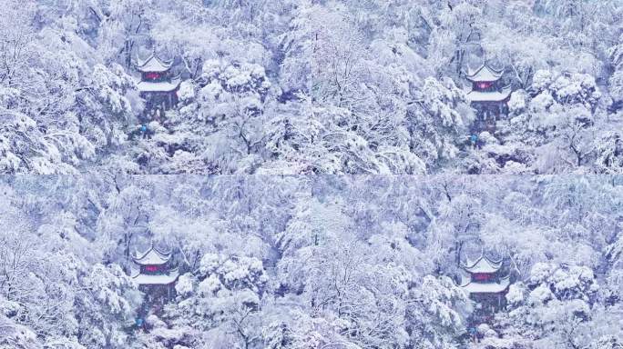 4k长沙爱晚亭雪景