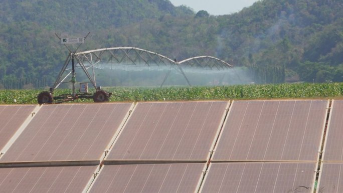 农业农场种植作物与太阳能电池板。