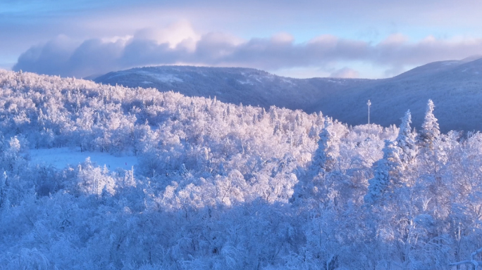 唯美冬天雪景树林雾凇