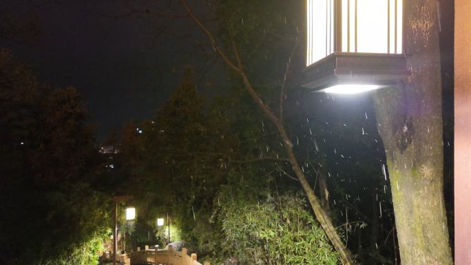 夜晚路灯雨点飘落慢镜头