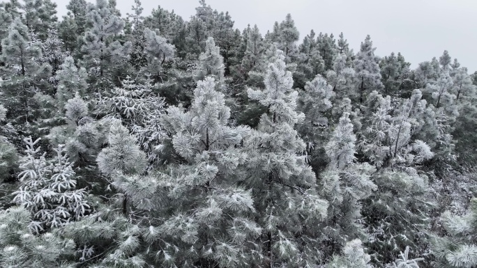 航拍于都利村2024年高山雪景