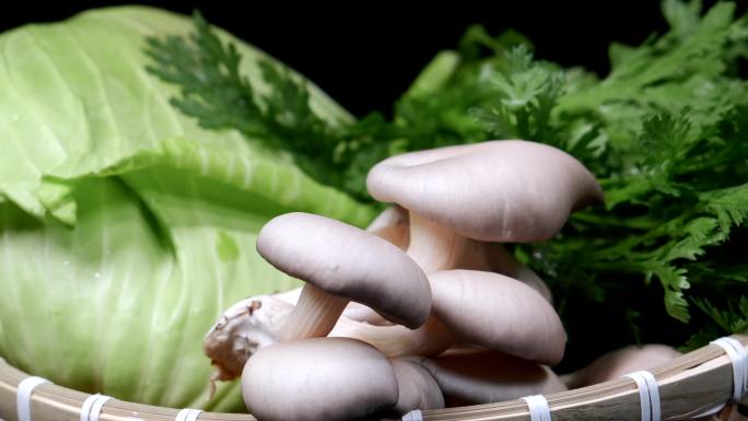 新鲜蔬菜白菜蘑菇
