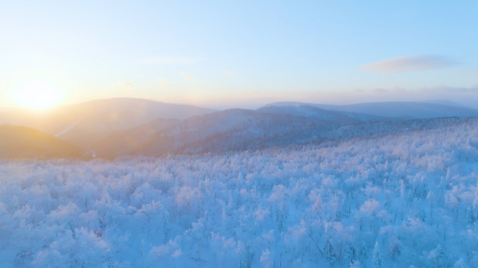 唯美冬天雪景树林雾凇