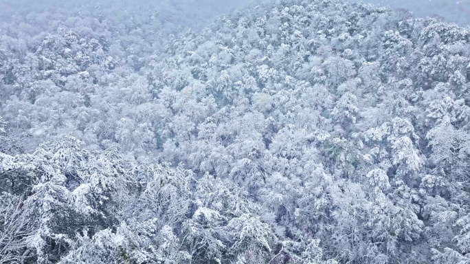 4k长沙爱晚亭雪景