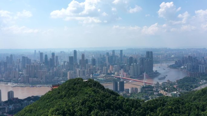 重庆 航拍 一棵树 日景 鸟瞰