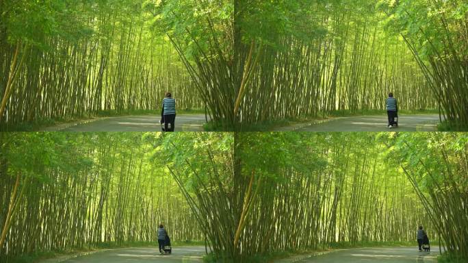 一个推着婴儿车的女人在竹林中行走
