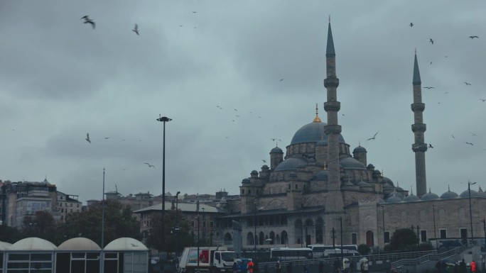 低角度手持拍摄的鸟类飞越蓝色清真寺对多云的天空在伊斯坦布尔，土耳其