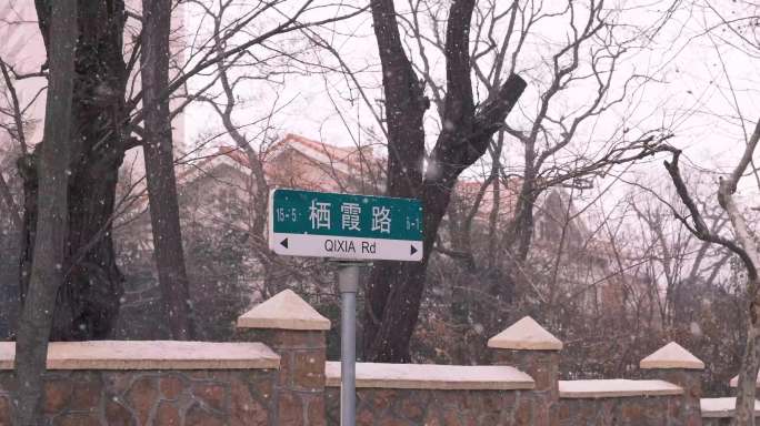 青岛栖霞路雪景