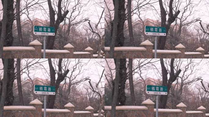 青岛栖霞路雪景