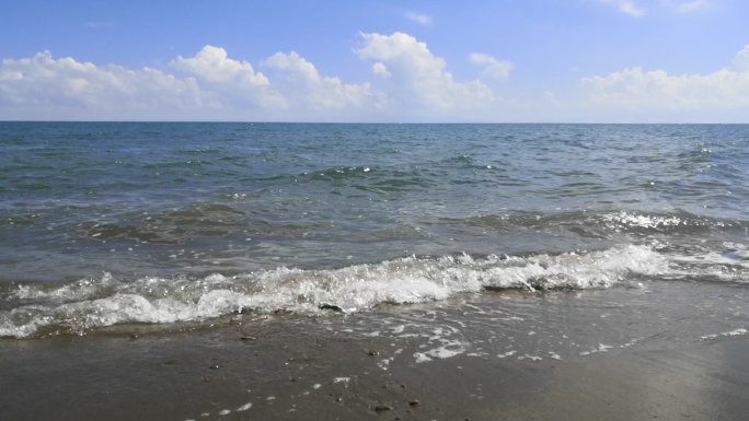 海边浪花海欧飞过