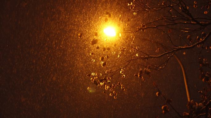 夜晚城市路边下雪