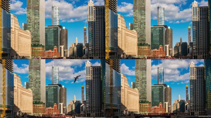 圣帕特里克节，芝加哥，伊利诺伊州，美国，美国，芝加哥，芝加哥城市景观摩天大楼与芝加哥河的时间流逝