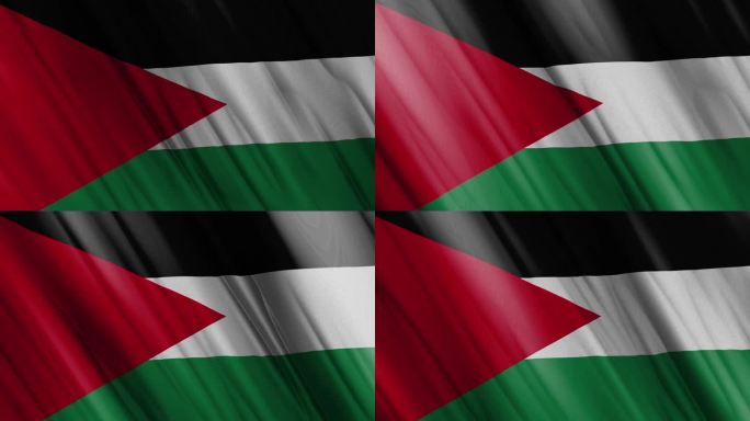 巴勒斯坦挥舞着国旗。巴勒斯坦国旗三维挥舞。巴勒斯坦国旗4k分辨率背景。巴勒斯坦国旗特写