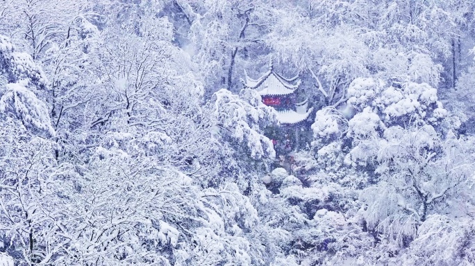 4k长沙爱晚亭雪景