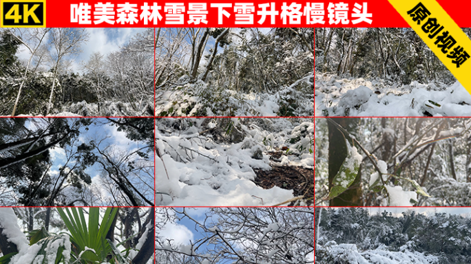4K唯美森林雪景下雪升格慢镜头
