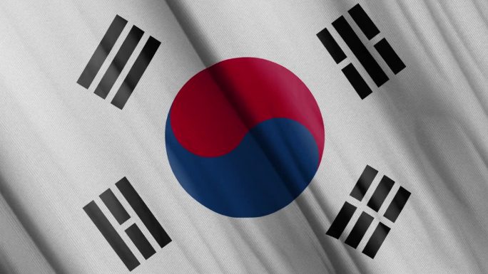 韩国挥舞着国旗。