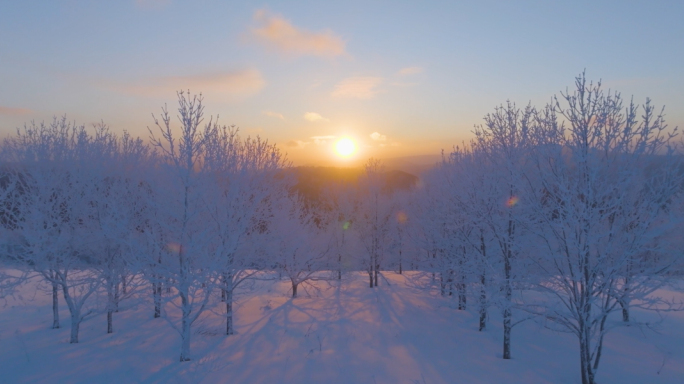 唯美冬天雪景树林雾凇