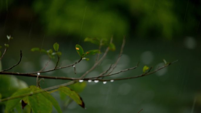 河流 流水