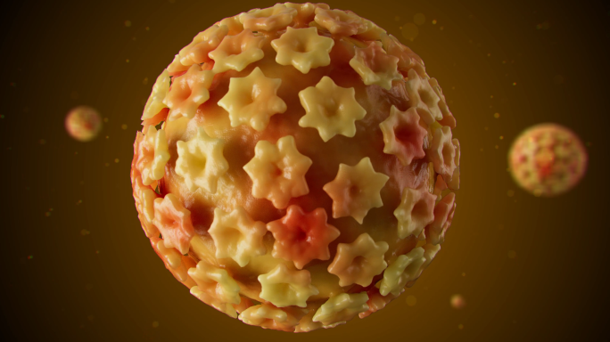 HPV人乳头瘤病毒及其内部DNA展示