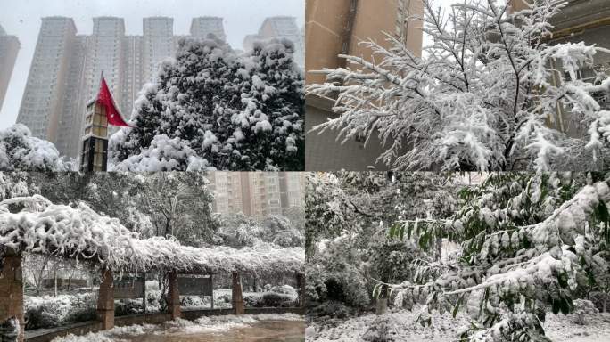 2024长沙第一场雪
