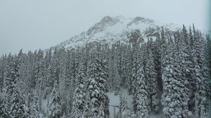 电影航拍科罗拉多深粉雪洛夫兰滑雪胜地艾森豪威尔隧道库恩山荒郊野外1970年严冬春雪大陆分水岭落基山脉