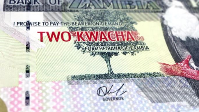 赞比亚赞比亚克瓦查2钞票，两个赞比亚克瓦查，赞比亚克瓦查的特写和宏观视图，跟踪和多莉拍摄2赞比亚克瓦