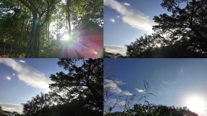 阳光 七彩光 蓝天 白云 树木