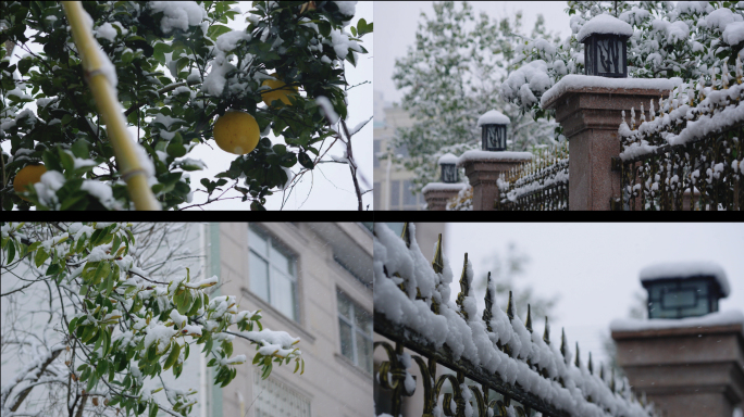 下雪慢动作唯美高速镜头4K