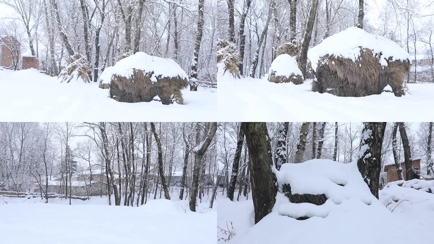 实拍冬季村庄周边雪景