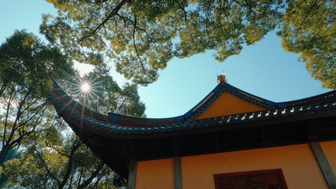宁波阿育王古寺庙阳光下的建筑与屋檐