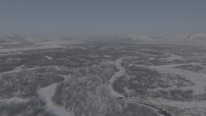 大全景森林雪景