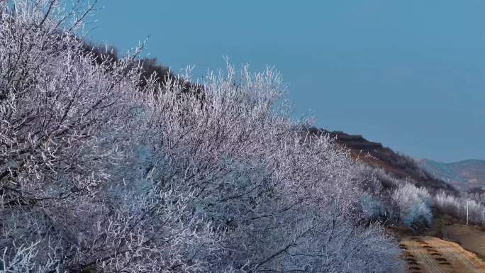 宁夏彭阳梯田雾凇