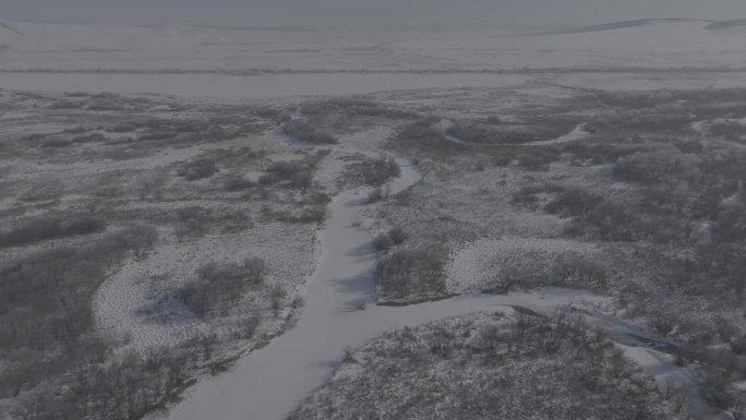 森林雪景3环绕