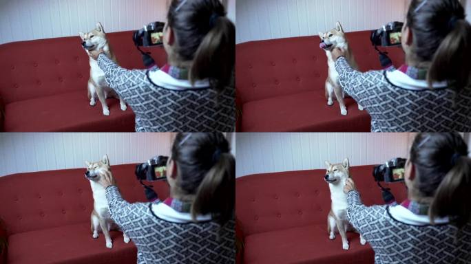 一名女子拍摄了一只狗在沙发上放松的照片