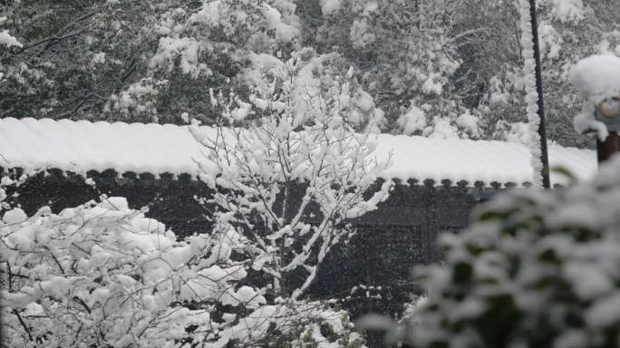 4k南方下雪唯美雪景120帧升格高速摄影