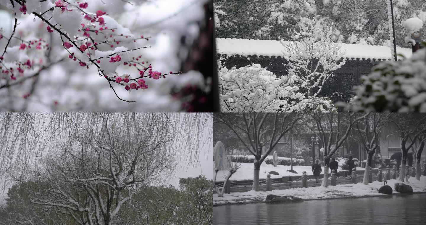 4k南方下雪唯美雪景120帧升格高速摄影