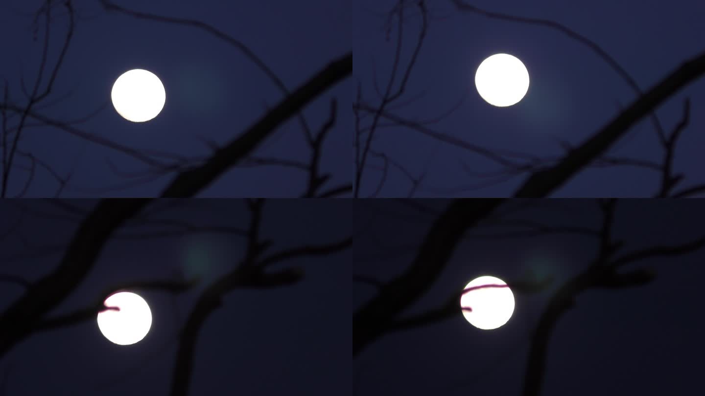 月亮正月十五明月月光月球圆月月色夜景相思