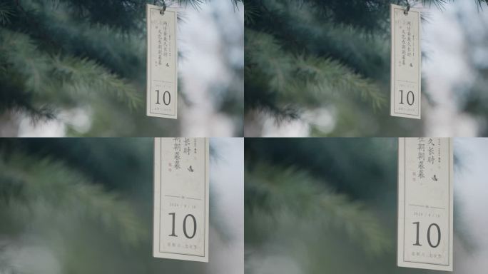 810七夕2024年8月10日