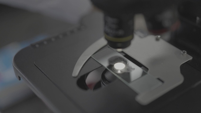 显微镜靠近载玻片