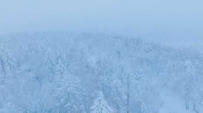 唯美冬天雪景树林雾凇