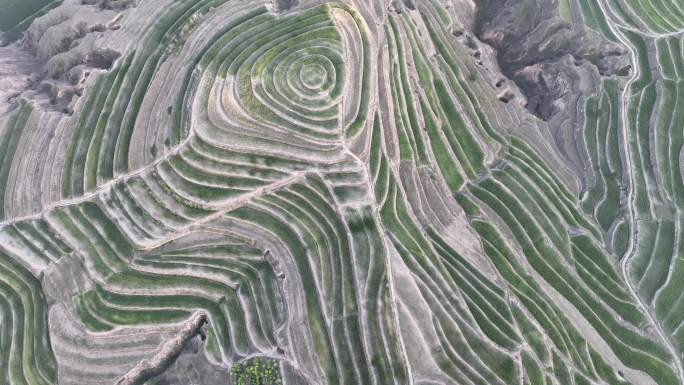 贫瘠梯田 旱地梯田