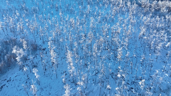 寒冬高山航拍雾凇雪林雪地