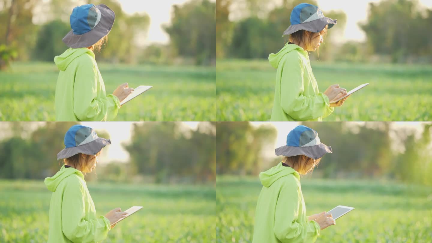 年轻的亚洲女农民记录他种植的玉米