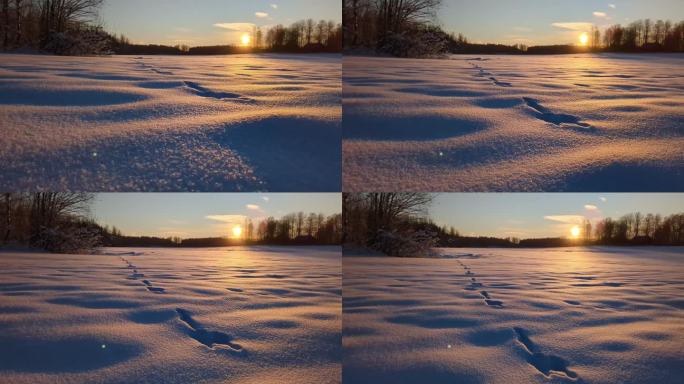 冬日夕阳下的风景，原始雪地上兔子的足迹，上升的镜头