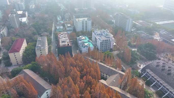 上海杨浦区同济大学本部航拍校园风景风光素