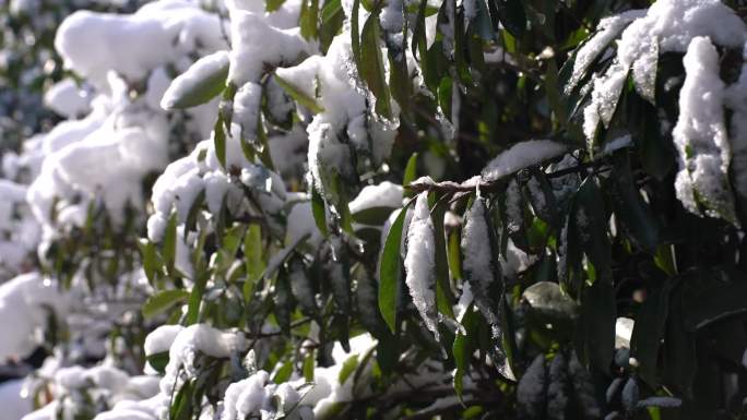 小区雪景高清素材