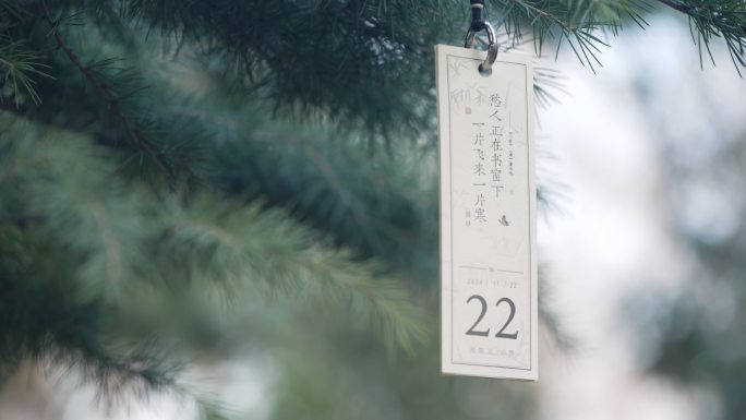 小雪节气2024年11月22日