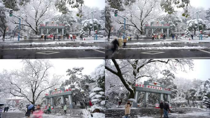 下雪天在湖南师范大学门口打卡的人群