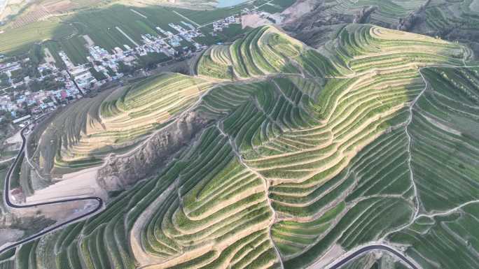 贫瘠梯田 旱地梯田